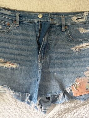 American Eagle Outfitters Light Blue Distressed Denim Shorts
